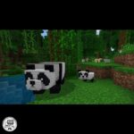 دیسک بازی Minecraft PS4 مشهد کنسول
