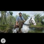 دیسک بازی Red Dead Redemtion 2 PS4 مشهد کنسول